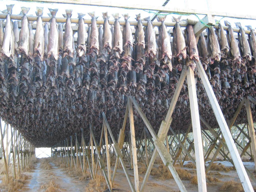 Frugga Feriehus Og Leilighet Straumsjoen 외부 사진
